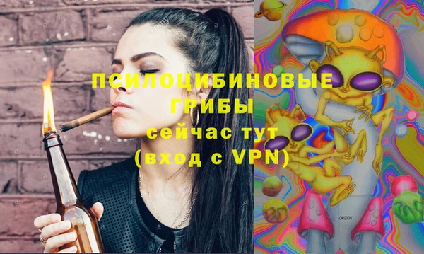 прущие крисы Алзамай