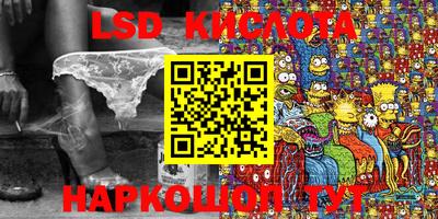 крисы Пенза