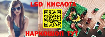 крисы Пенза