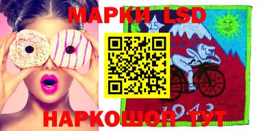 крисы Пенза