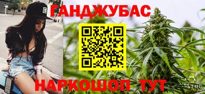 крисы Пенза