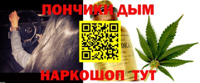 гидра Партизанск