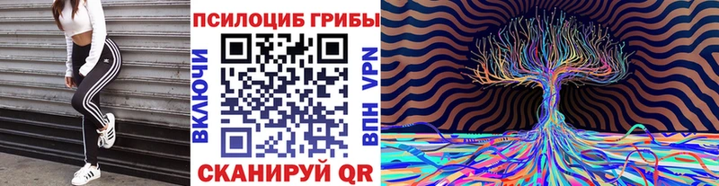 darknet как зайти  blacksprut как зайти  Чусовой  Галлюциногенные грибы Cubensis 