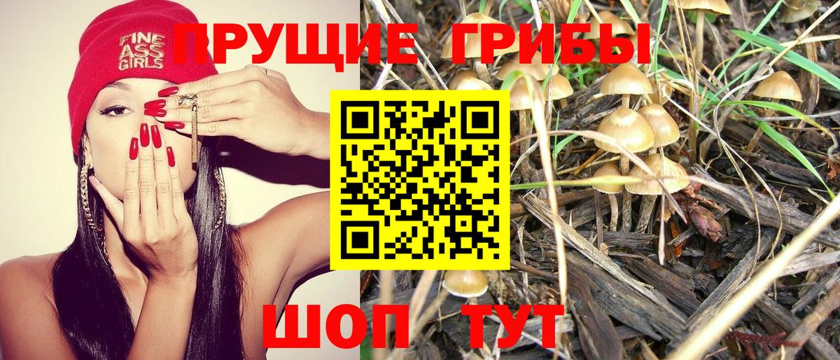 Галлюциногенные грибы прущие грибы Чусовой