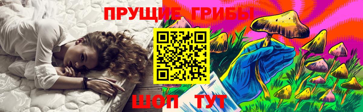 где можно купить   Галлюциногенные грибы прущие грибы  Чусовой  Вход с VPN  Галлюциногенные грибы ЛСД 