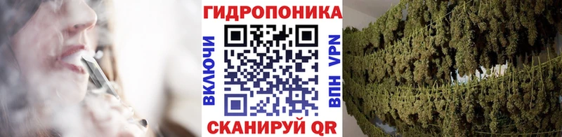 Бошки Шишки семена Чусовой